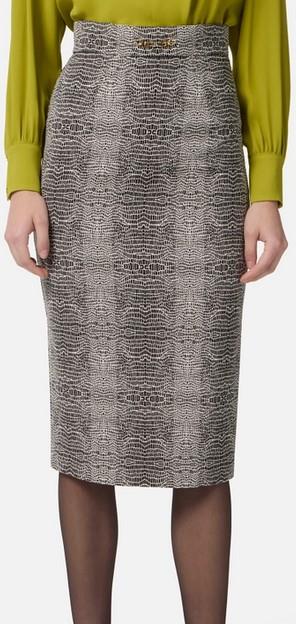 ELISABETTA FRANCHI
GONNA
GO14157E2
